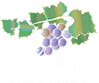 天神大名の本格イタリアン　イル・コルティーレ il Cortile